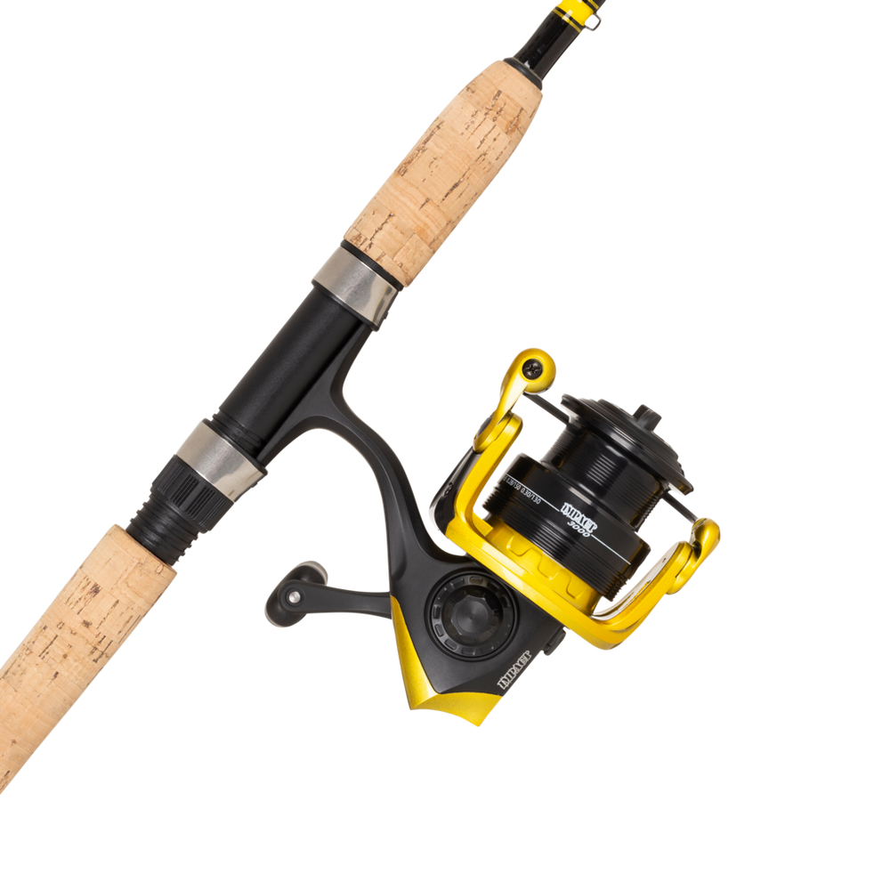 Combo Abu Garcia Revolution Impact Spinning M 20