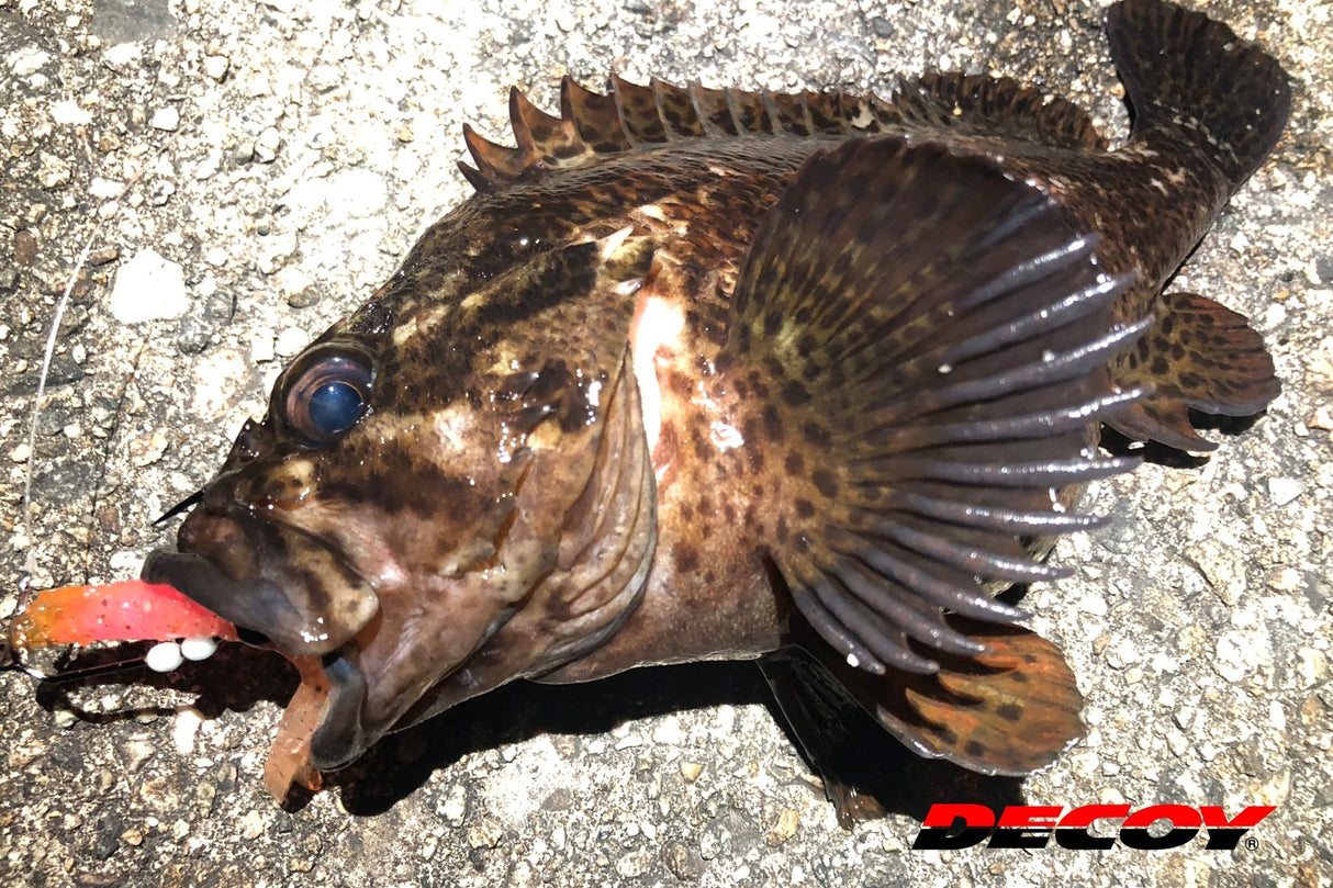 Anzuelos Decoy Worm 30 Makisasu - Tienda Bass