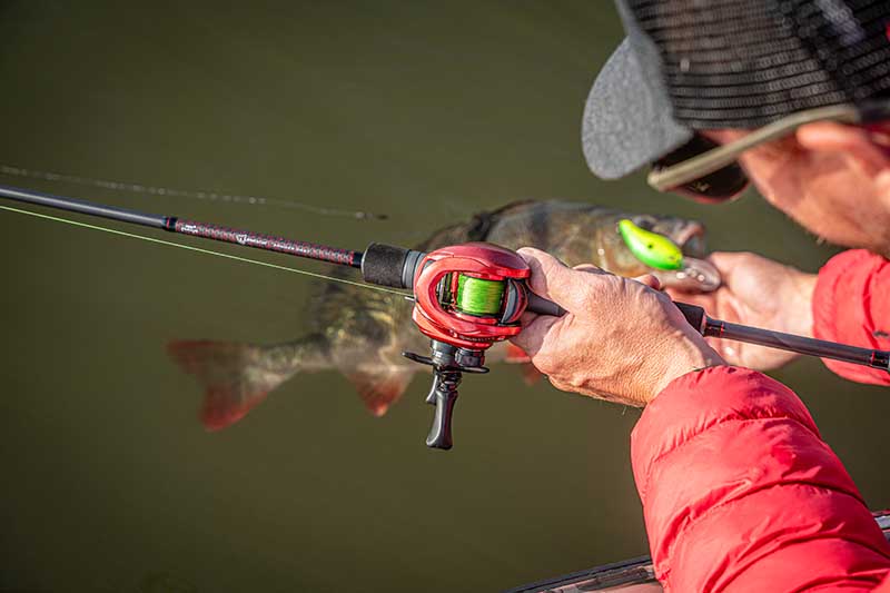 Rute Fox Rage Warrior Zander Cast 2.10 m
