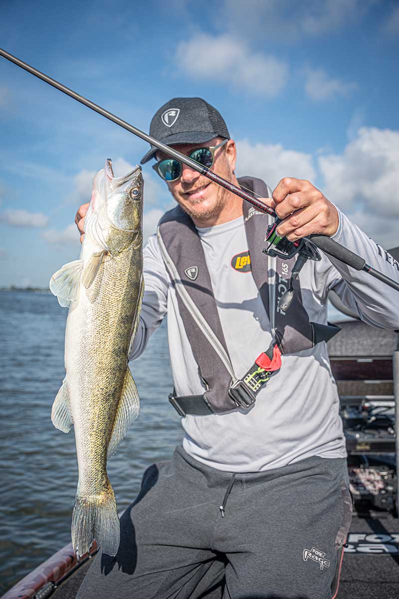 Rute Fox Rage Warrior Zander Jig 2,40 m