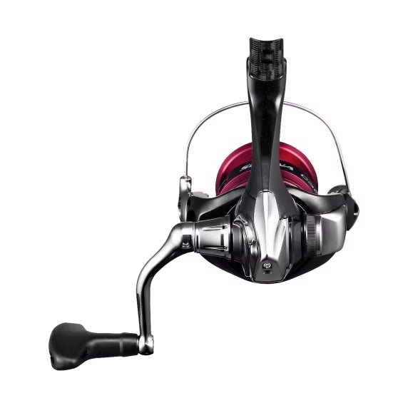 Rolle Shimano Siena FG 4000