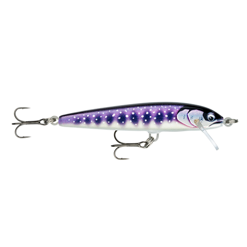 Jerkbait Rapala Schwimmer Elite 85 GDIW