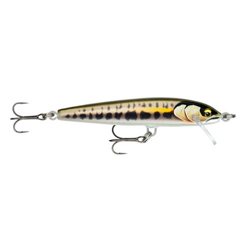 Jerkbait Rapala Schwimmer Elite 85 GDMN