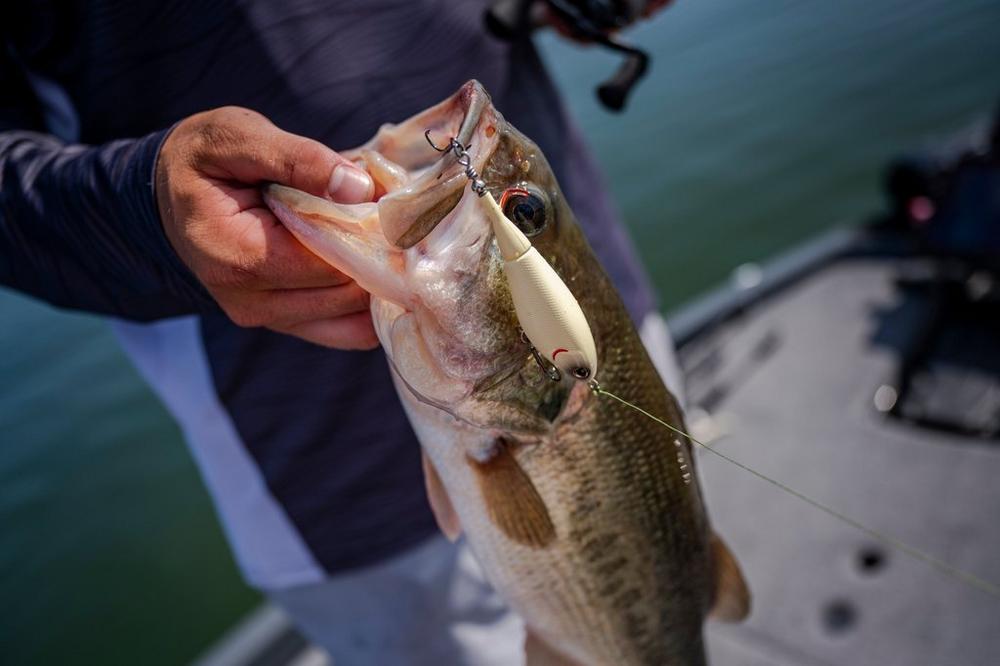 Señuelo Berkley Choppo 120 mm 28 g MFF