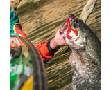 Gummifisch Strike King Craw 101 mm Delta Red