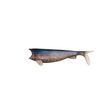 Señuelo Hart Soft Shad 120 mm 56 - Tienda Bass